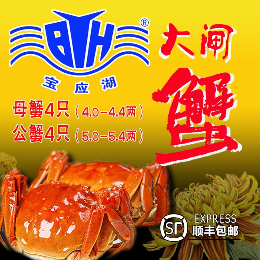 寶應大閘蟹對公對母8只